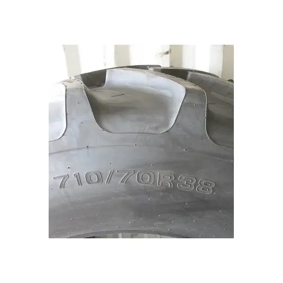Шина с/г 710/70R38 R-1W 166A8/166B Tubeless (Tianli), фотография 2