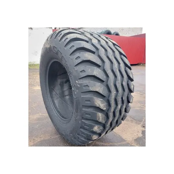 Шина с/г 500/55-20 IMB 161 12 сл 143A8 Tubeless (Ascenso), фотография 2
