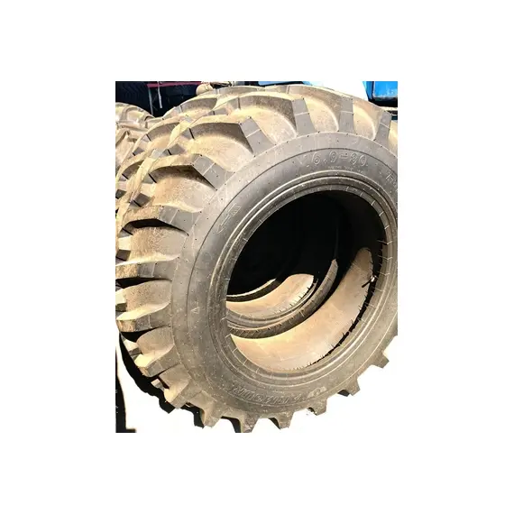 Шина с/г 16.9-30 (420/85-30) R-1 10 сл 137А8 (Armour), фотография 2