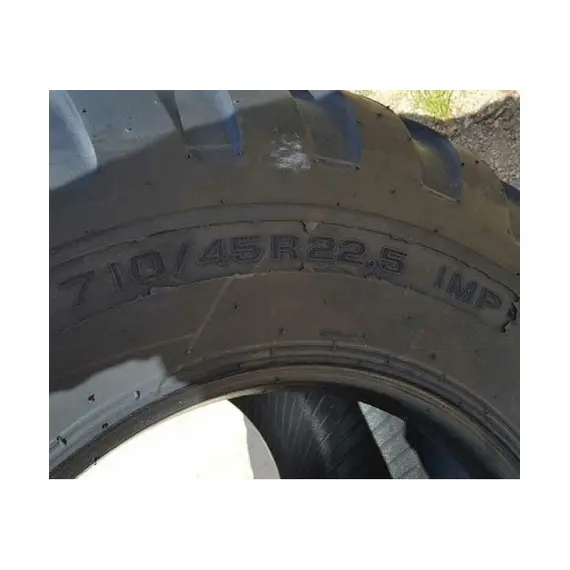 Шина с/х 710/45R22.5 FR IMP 165D Tubeless (Tianli), фотография 3