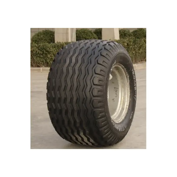 Шина с/х 19.0/45-17 (480/45-17) F-304 14 сл 144A8 Tubeless (Tianli), фотография 2