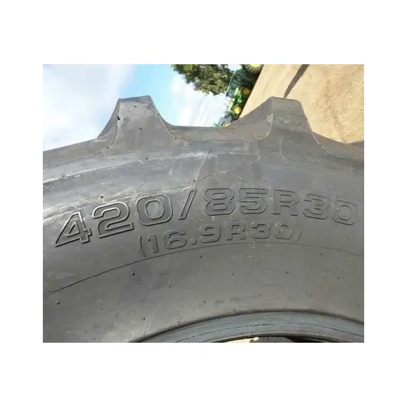 Шина с/г 420/85R30 (16.9R30) R-1W 140A8/140B Tubeless (Tianli), фотография 3