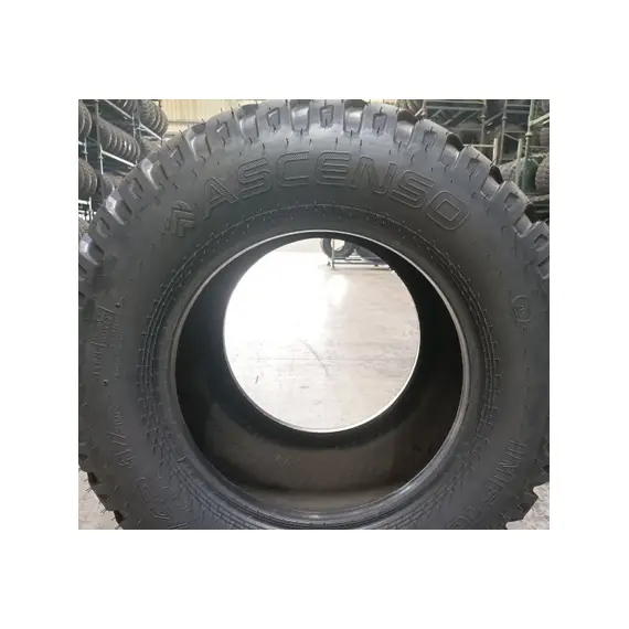 Шина с/г 19.0/45-17 (480/45-17) IMB 161 18 сл 149A8/136A8 Tubeless (Ascenso), фотография 3