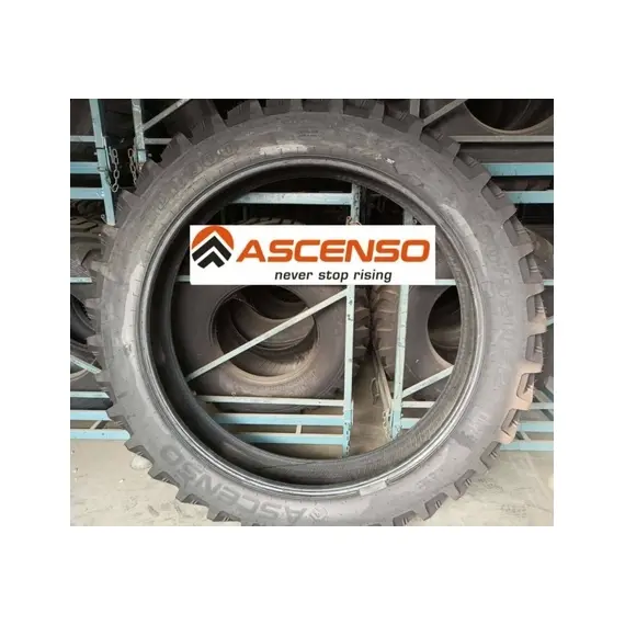 Шина с/г 300/95R52 TDR 900 Steel Belted 156D Tubeless (Ascenso), фотография 3