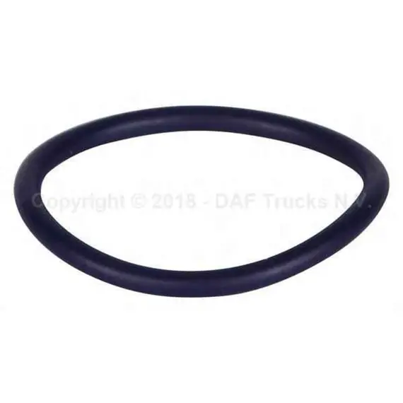 Кільце ущільнююче системи охолодження (DAF OE)