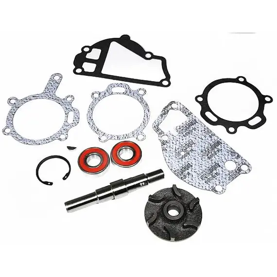 M91 Ремкомплект водяного насоса (Massey Ferguson) 131-8 3640326M91 3641315M91 3641383M h39799