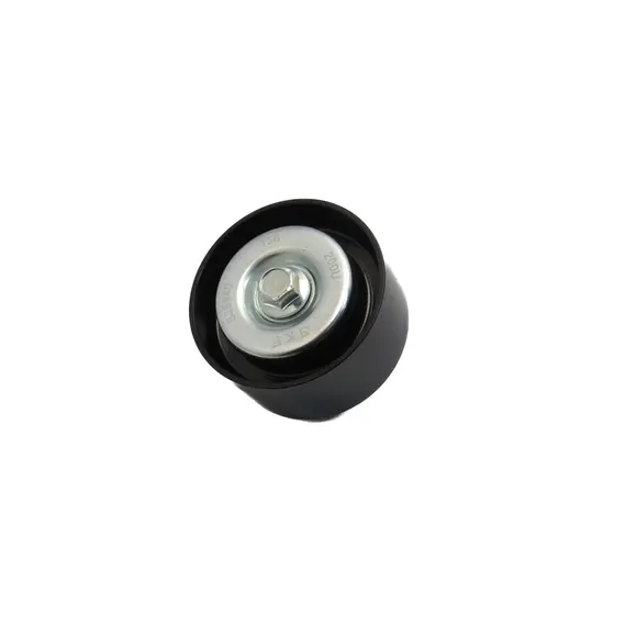 Ролик паразитный VOLVO FE, RENAULT PREMIUM 2 (20795604) (SKF)
