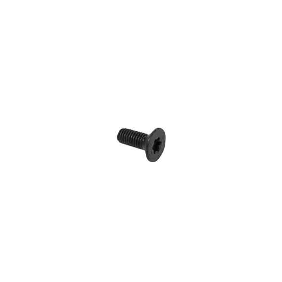 Болт с потайной головкой с внутр. шестигранником M6x16, DIN 7991, 8.8, Torx, Horsch