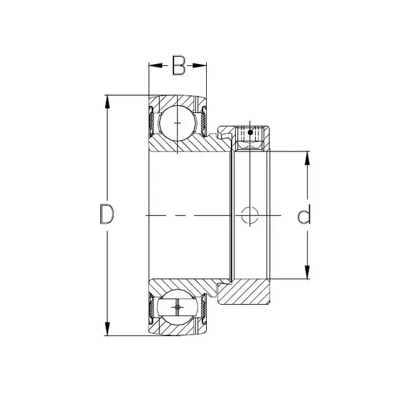 Підшипник RAE 25 NPP NKE