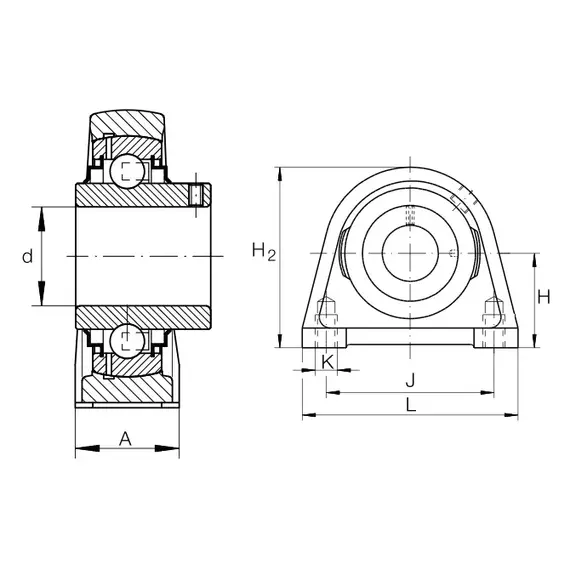 Корпус с подшипником RSHEY 25 INA