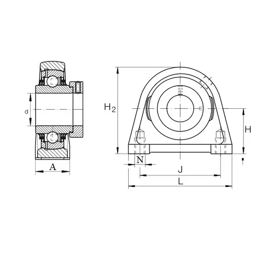 Корпус із підшипником TSHE 45 INA