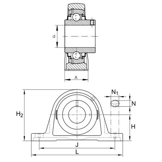 Корпус с подшипником RASEY 70 INA
