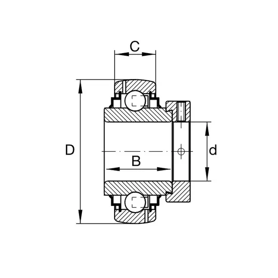 Підшипник G 1104 KRRB AS2/V INA