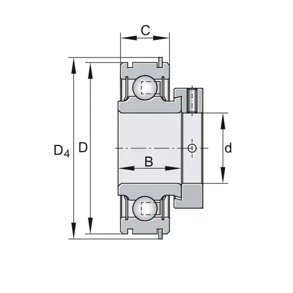 Підшипник RAE 35 NPP NR INA