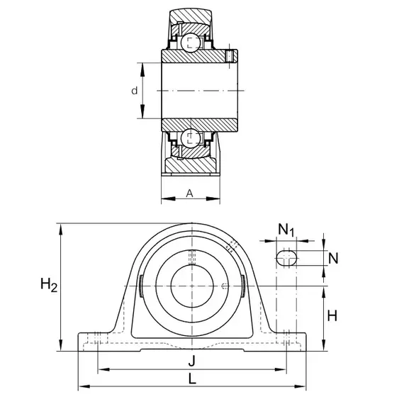 Корпус с подшипником RASEY 50 N INA