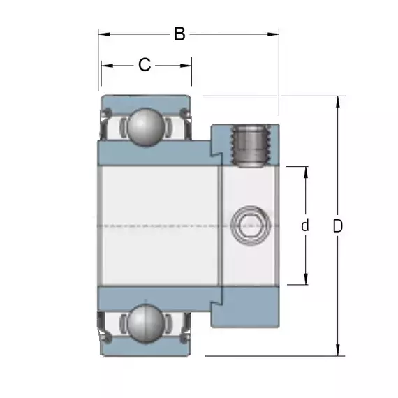 Підшипник RAE 25 RR Timken