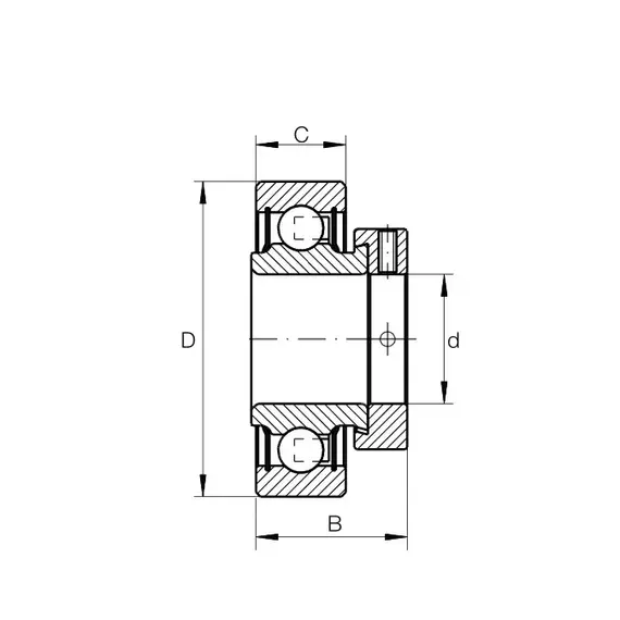 Підшипник RALE 30 NPP FA106 INA
