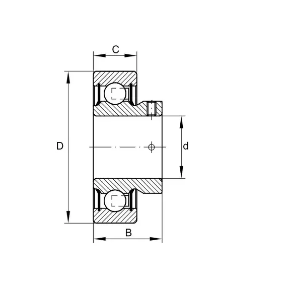Підшипник AY 25 NPP INA