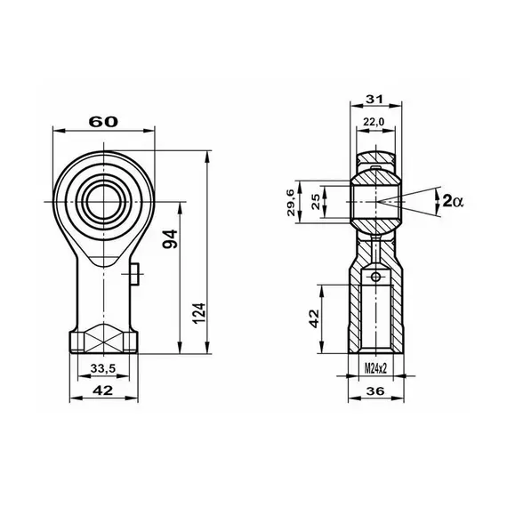 Підшипник GIS 25 Fluro