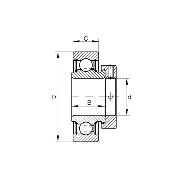 Підшипник RAE 25 NPP FA 106 INA