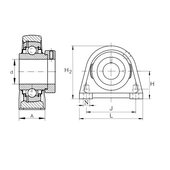 Корпус із підшипником RSHE 40 N INA