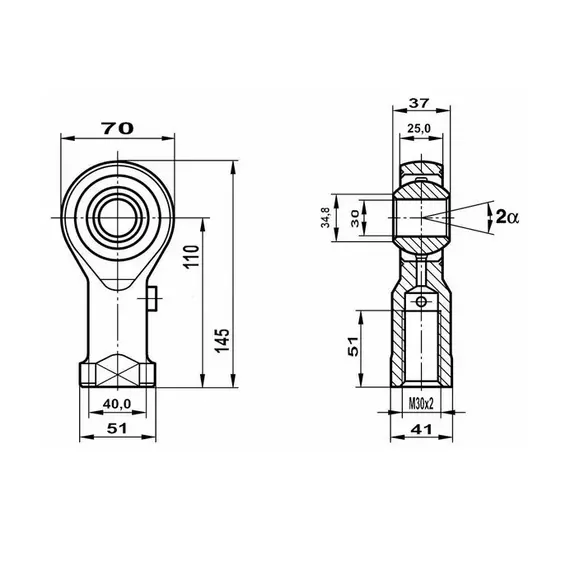 Підшипник GIS 30 Fluro