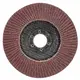 Круг лепестковый торцевой Т29 (конический) Ø125мм P60 SIGMA (9172631)