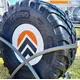 Шина с/г 710/50R30.5 FTR 170 Steel Belted 176D Tubeless (Ascenso), фотография 3